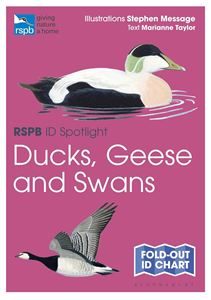 RSPB ID SPOTLIGHT: DUCKS GEESE AND SWANS (PB)