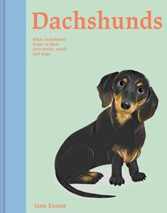 DACHSHUNDS (HB)