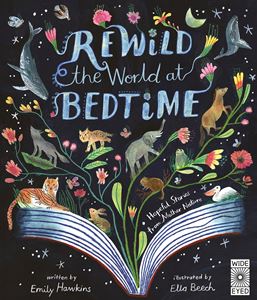 REWILD THE WORLD AT BEDTIME (WIDE EYED) (HB)