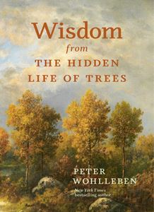 WISDOM FROM THE HIDDEN LIFE OF TREES (GREYSTONE) (HB)