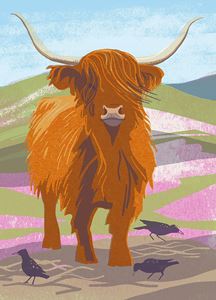NATURE NOTEBOOK: HIGHLAND COW