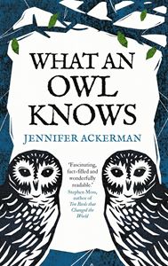 WHAT AN OWL KNOWS (PB)