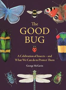 GOOD BUG: A CELEBRATION OF INSECTS (HB)