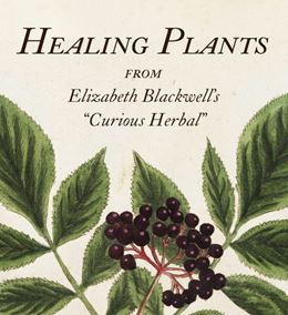 HEALING PLANTS (BLACKWELLS CURIOUS HERBAL) (ABBEVILLE) (HB)