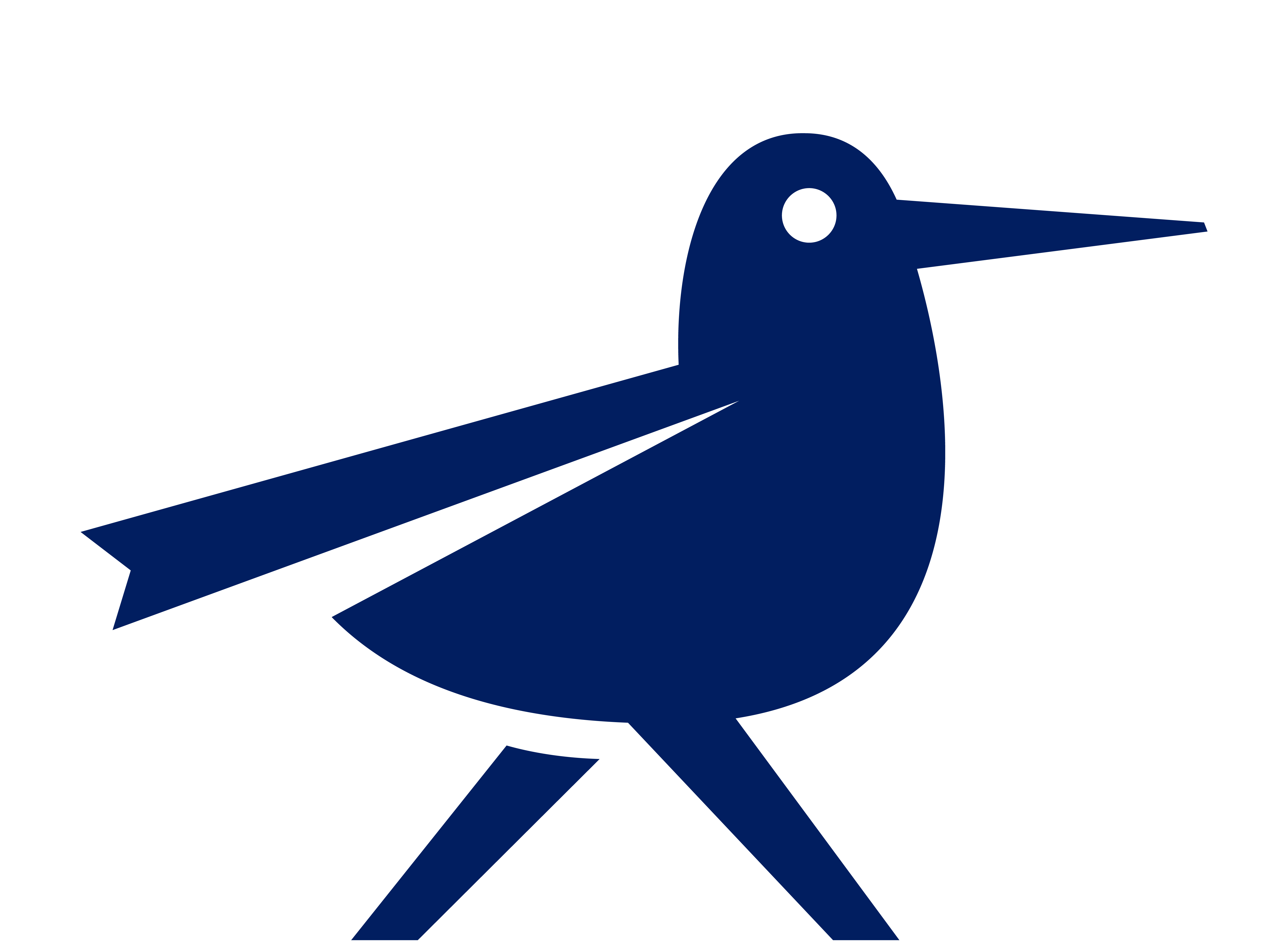 bird logo